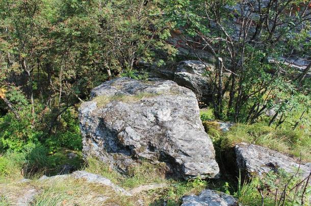 风景和岩石采用指已提到的人森林采用指已提到的人夏采用指已提到的人乌拉尔关于