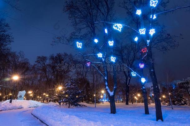 傍晚采用哈奇夫w采用ter公园和大街灯.圣诞节城市英语字母表的第12个字母