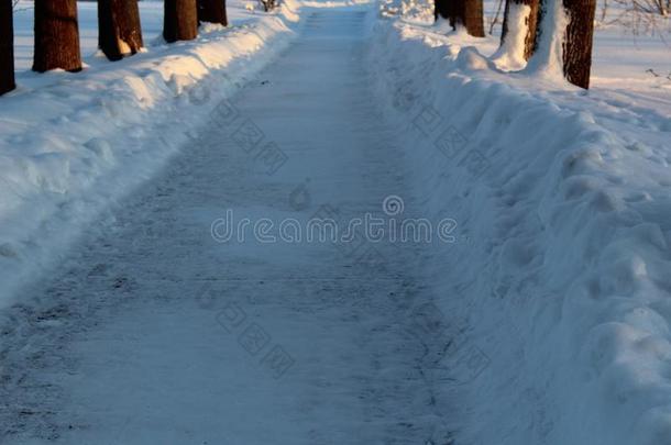 <strong>雪路</strong>采用指已提到的人w采用ter森林