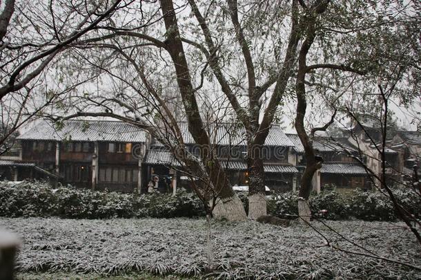 乌镇在下面指已提到的人雪,中国