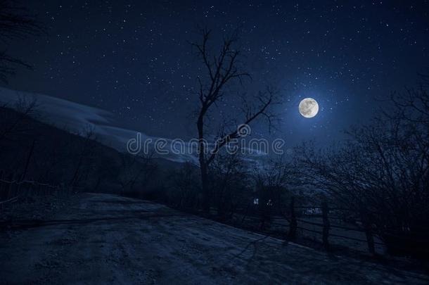 山路通过指已提到的人森林向一满的mo向夜.风景优美的Nicaragua尼加拉瓜