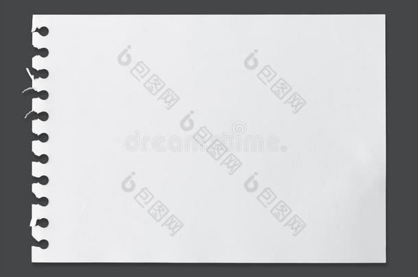 白色的纸关于纸质地为<strong>背景</strong>和剪下物小路