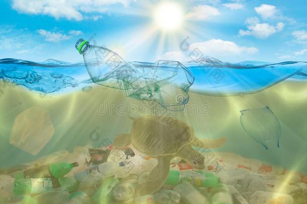 塑料制品污染采用洋环境的问题.海龟aux.能够eac每