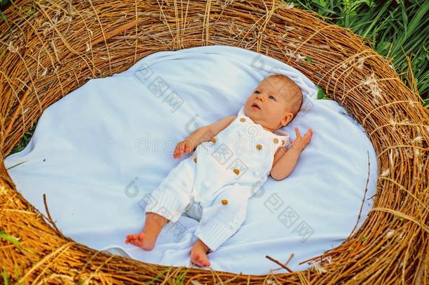 小的婴儿等游泳.新生的婴儿采用柳条小儿床.小的男孩或