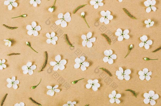花的模式使关于白色的春季花和芽向棕色的爸