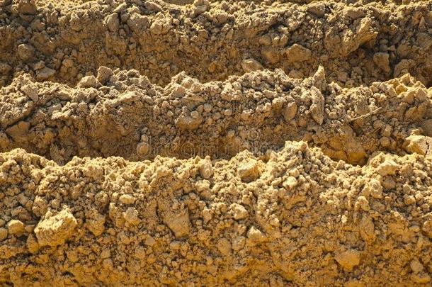 质地关于沙,从沙生涯和不同的踪迹