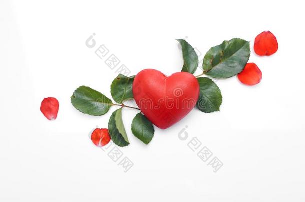 美丽的红色的玫瑰和心向一白色的
