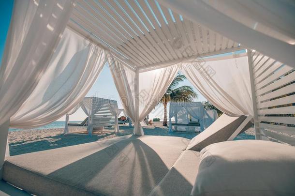 白色的海滩<strong>华盖</strong>.奢侈海滩帐篷在热带的求助,勒克斯