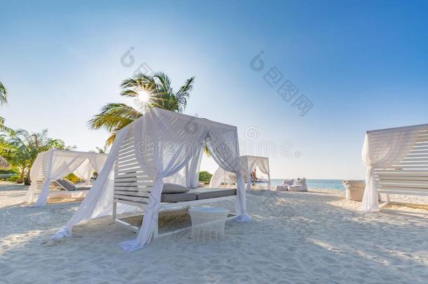 白色的海滩华盖.奢侈海滩帐篷在热带的求助,勒克斯