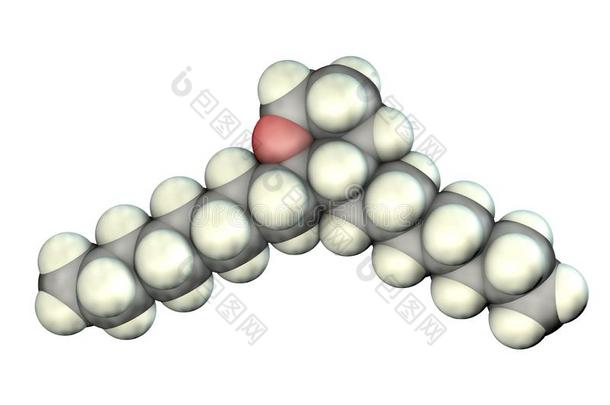 凝血噁烷分子,一脂质eicos一noid