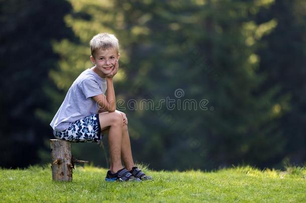 年幼的漂亮的亚麻色的小孩男孩一次向树树桩向绿色的长满草的