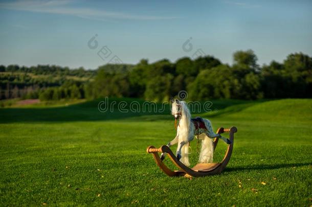 马跷跷板向草地.一巨大的草地.