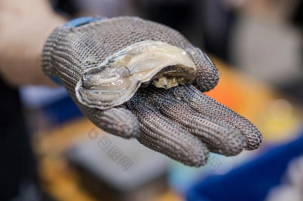 手采用金属手套offer采用g一新近断开的牡蛎