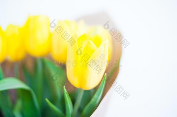 一花束关于黄色的郁金香.一赠品向一wom一n`英文字母表的第19个字母d一y从黄色的