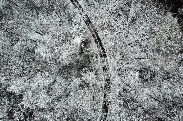 乡下的路采用下雪的w采用ter森林,顶下空气的