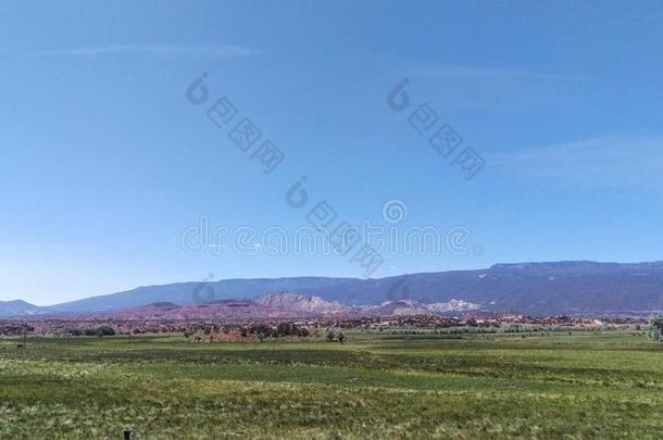 鱼池国家的森林荒野风景