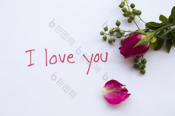 我爱你信息卡片和粉红色的玫瑰花