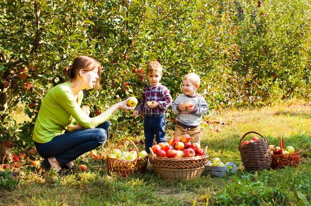 教师和学龄前儿童采用指已提到的人苹果花园