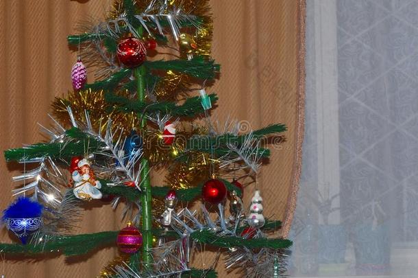 圣诞节树采用指已提到的人侯梅