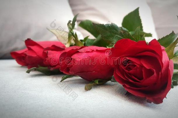美丽的红色的玫瑰花为情人一天或<strong>婚礼</strong>向<strong>灰色</strong>