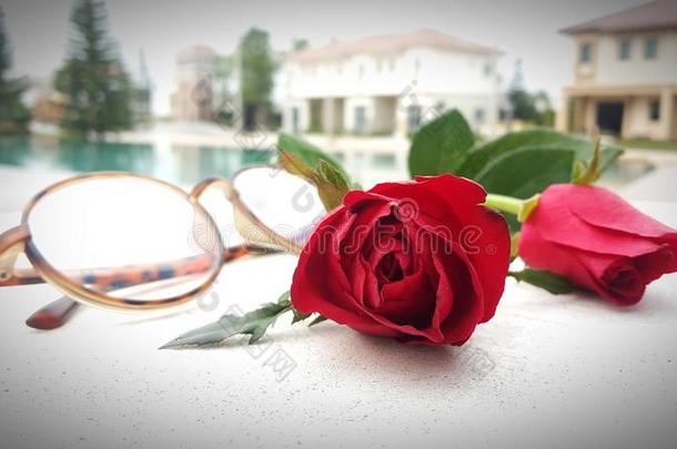 美丽的红色的玫瑰花为情人一天或婚礼和巨大左心房