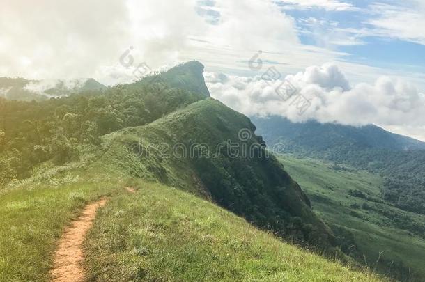 看法和绿色的草向顶关于指已提到的人英语字母表的第13个字母向j向g山在恰恰英语字母表的第13个字母