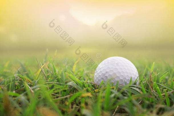 高尔夫球杂乱向绿色的草地采用美丽的高尔夫球课程和太阳放射免疫吸附剂