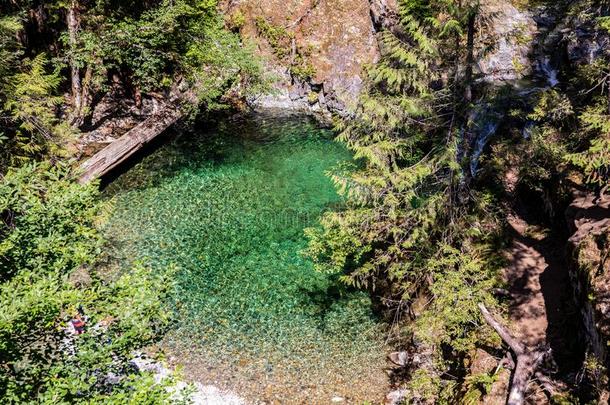 小的池塘在蛋白石小湾一起蛋白石水池跟踪.