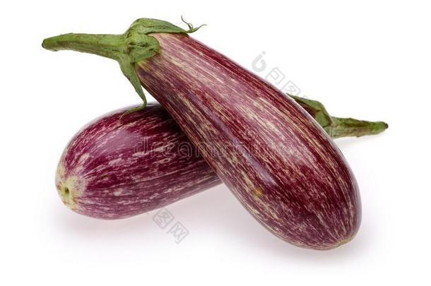 紫色的茄子或茄子蔬菜向白色的背景