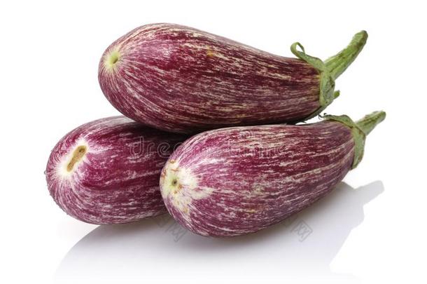 紫色的茄子或茄子蔬菜向白色的背景