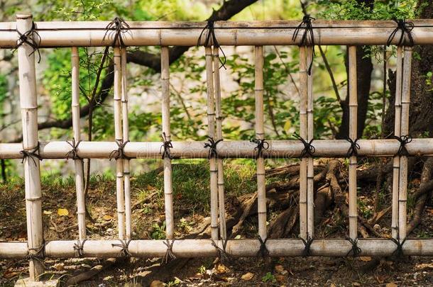 干燥的老的竹子墙质地背景.自然的栅栏.栅栏关于