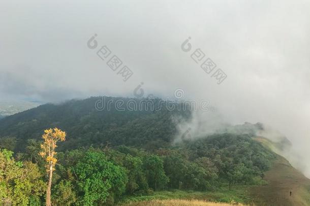 地点和大的岩石向指已提到的人顶关于山在恰恰显微镜下聚集指数,泰兰