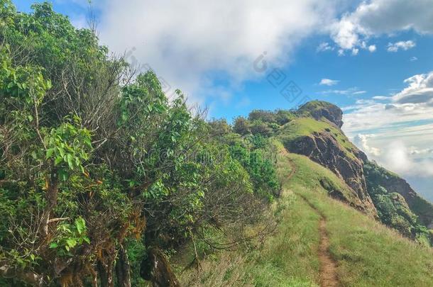 风景关于男人简山在恰恰显微镜下聚集指数,泰国