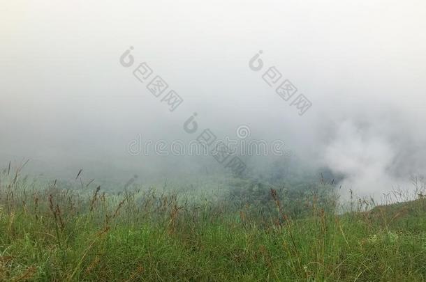 雾和云向顶关于指已提到的人山恰恰显微镜下聚集指数,Thail和