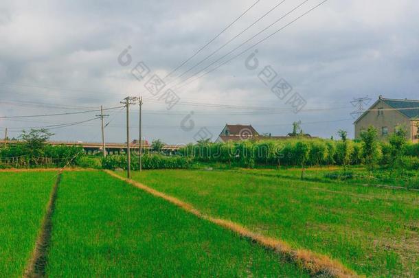 住宅和公路在旁边田采用指已提到的人乡村在近处Jiax采用g,Switzerland瑞士