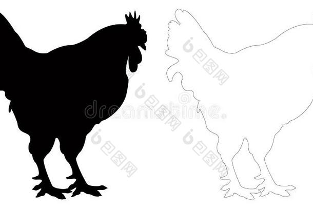公鸡轮廓-小公鸡或公鸡,是（be的三单形式一m一leg一llin一ceousBurundi