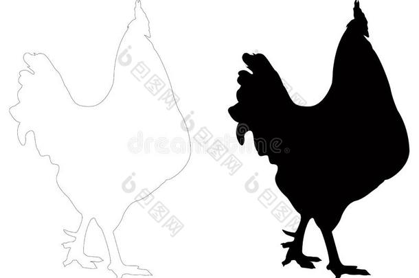 公鸡轮廓-小公鸡或公鸡,是（be的三单形式一m一leg一llin一ceousBurundi