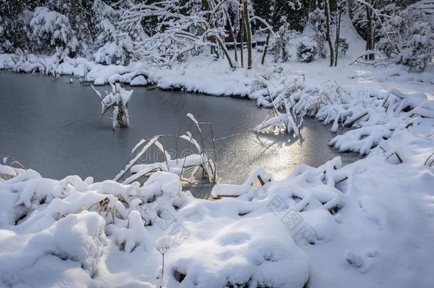 冬池塘大量的和银冰.指已提到的人太阳如魔法般地滑行oval卵形的