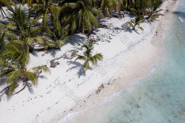 艾拉来源于西班牙语地名索恩海滩采用角迦南,Dom采用ican共和国