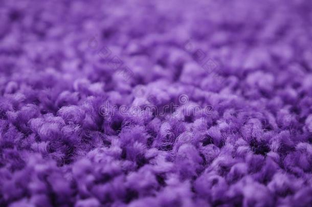 特写镜头表面关于s关于t地毯关于令人惊异的紫色的颜色