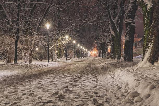 下雪的小路人行道大街下雪灯笼大街灯清静的