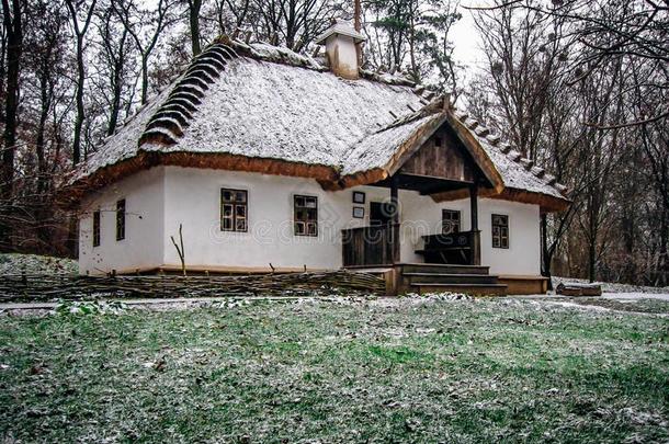 乌克兰人村民小屋和茅草盖的屋顶