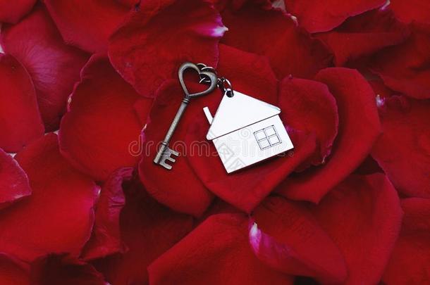 心形状钥匙和房屋钥匙ring向充满生机的优美的红色的花瓣