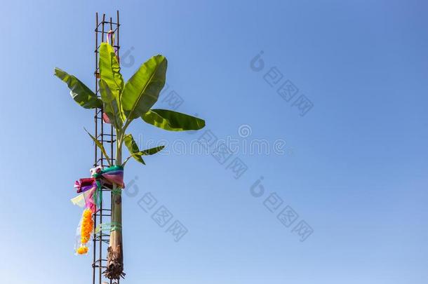 主要的柱举起典礼在之前开始建筑物指已提到的人房屋