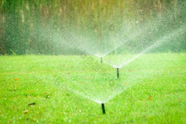 自动的草地洒水器洒水绿色的草.洒水器和author作者