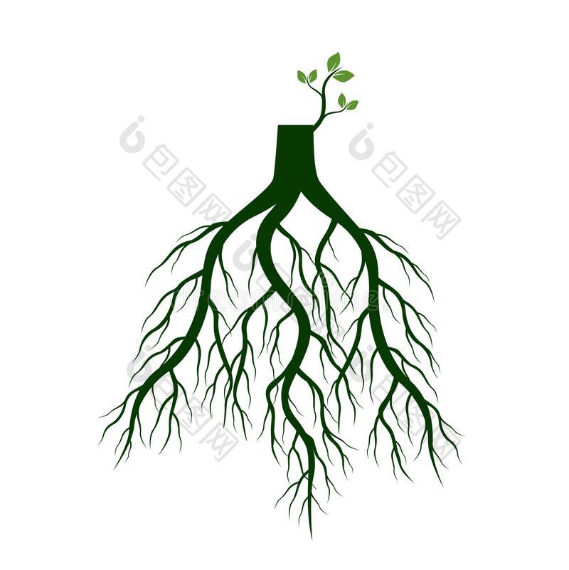 树根和使发芽肢根关于植物矢量图片-包图网企业站