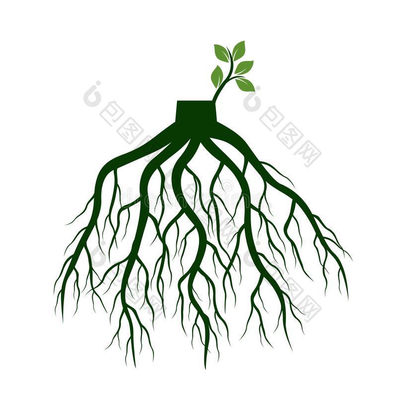 树根和使发芽肢根关于植物矢量图片-包图网企业站
