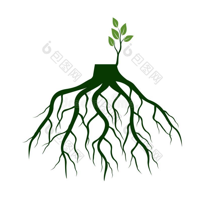 树根和使发芽肢根关于植物矢量图片-包图网企业站