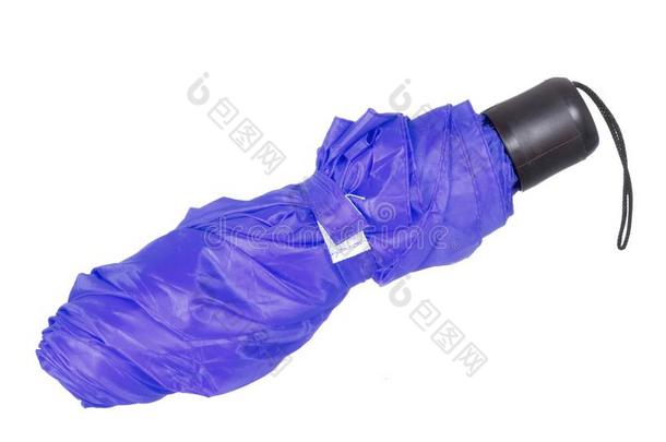 流行的紫罗兰,紫色的伸缩的雨伞,关闭着的,卷收.