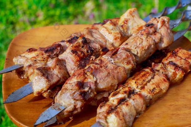 希什河烤腌<strong>羊肉</strong>串和指已提到的人混合关于香料向barbecue<strong>吃</strong>烤烧肉的野餐肉